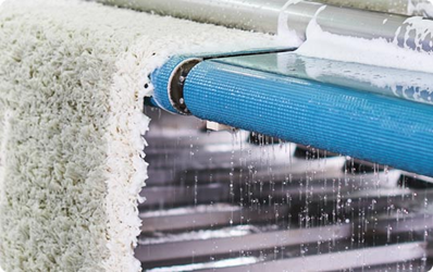 Business Spotlight on Tulip Carpet Cleaning East Brunswick